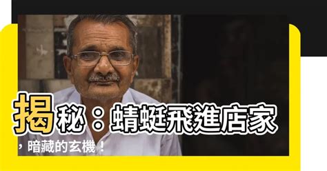 蜻蜓飛進店裡|【蜻蜓飛進家裡】蜻蜓飛翩翩而入，預兆吉運如鳳來儀！